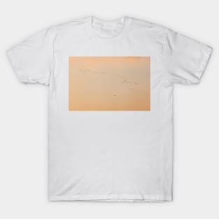 Flock of birds ans plane against orange sky T-Shirt